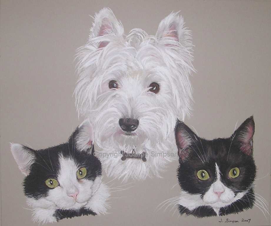 Mixed pet portrait by Joanne Simpson.